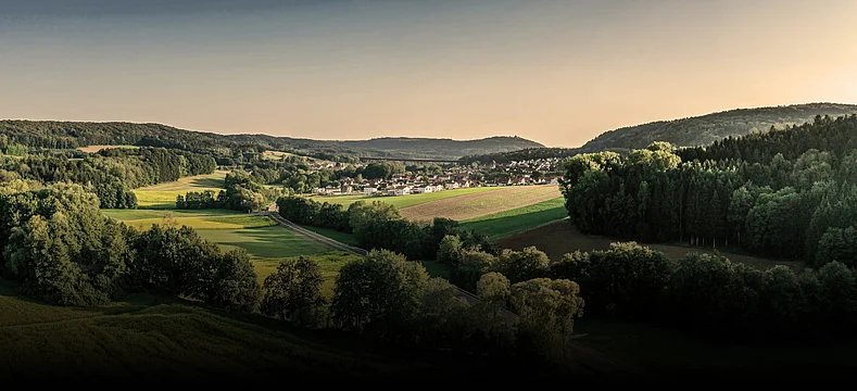 Landschaft mit Ort, Feldern und Wäldern